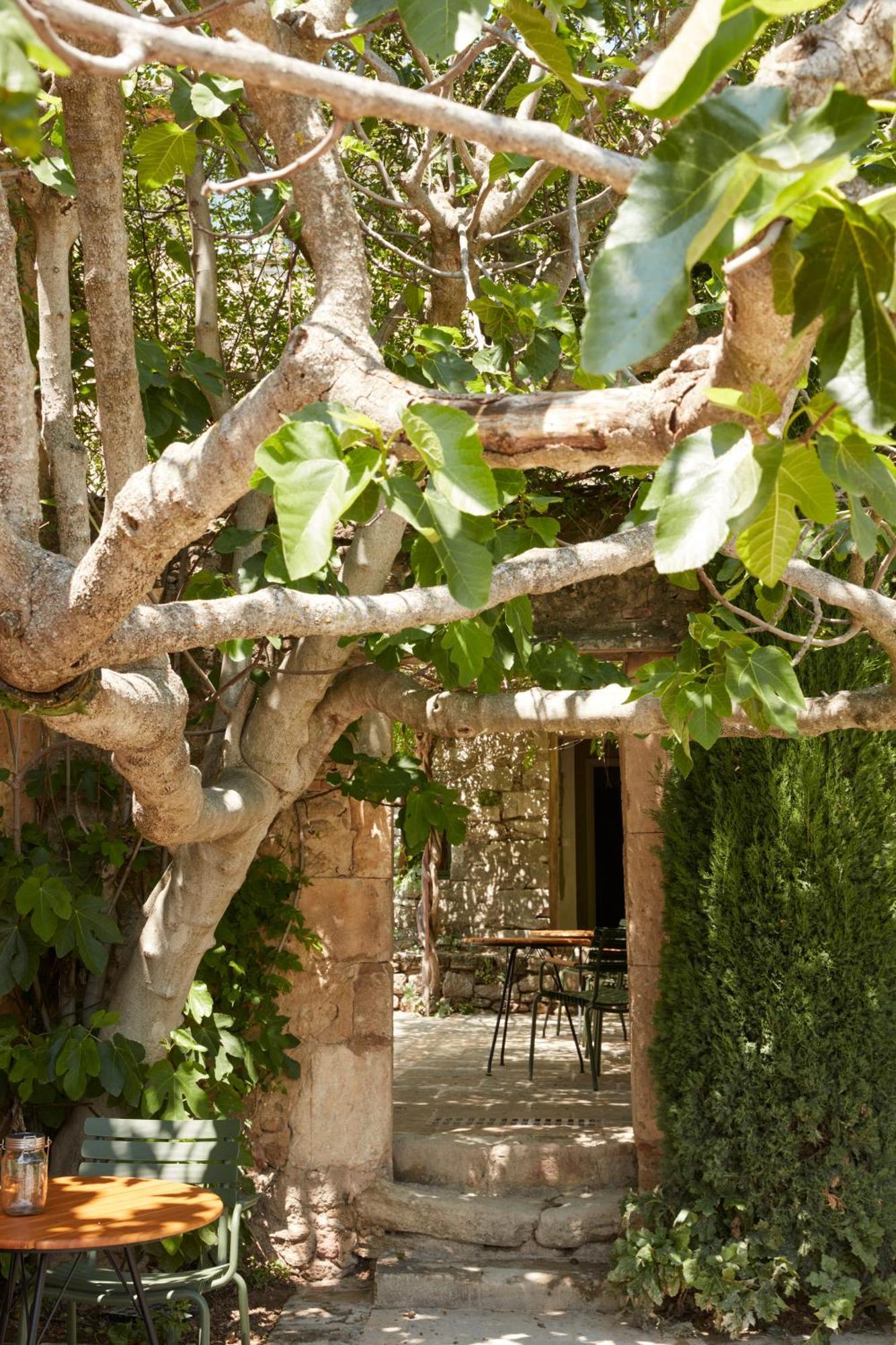 Bed and Breakfast La Bastide Du Mourre Oppède Esterno foto